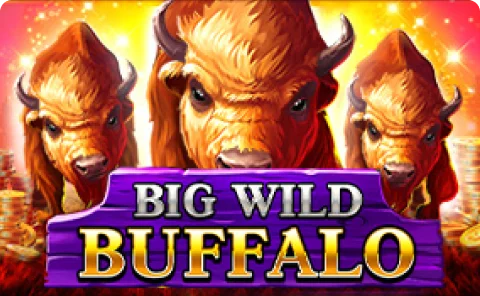 Big Wild Buffalo